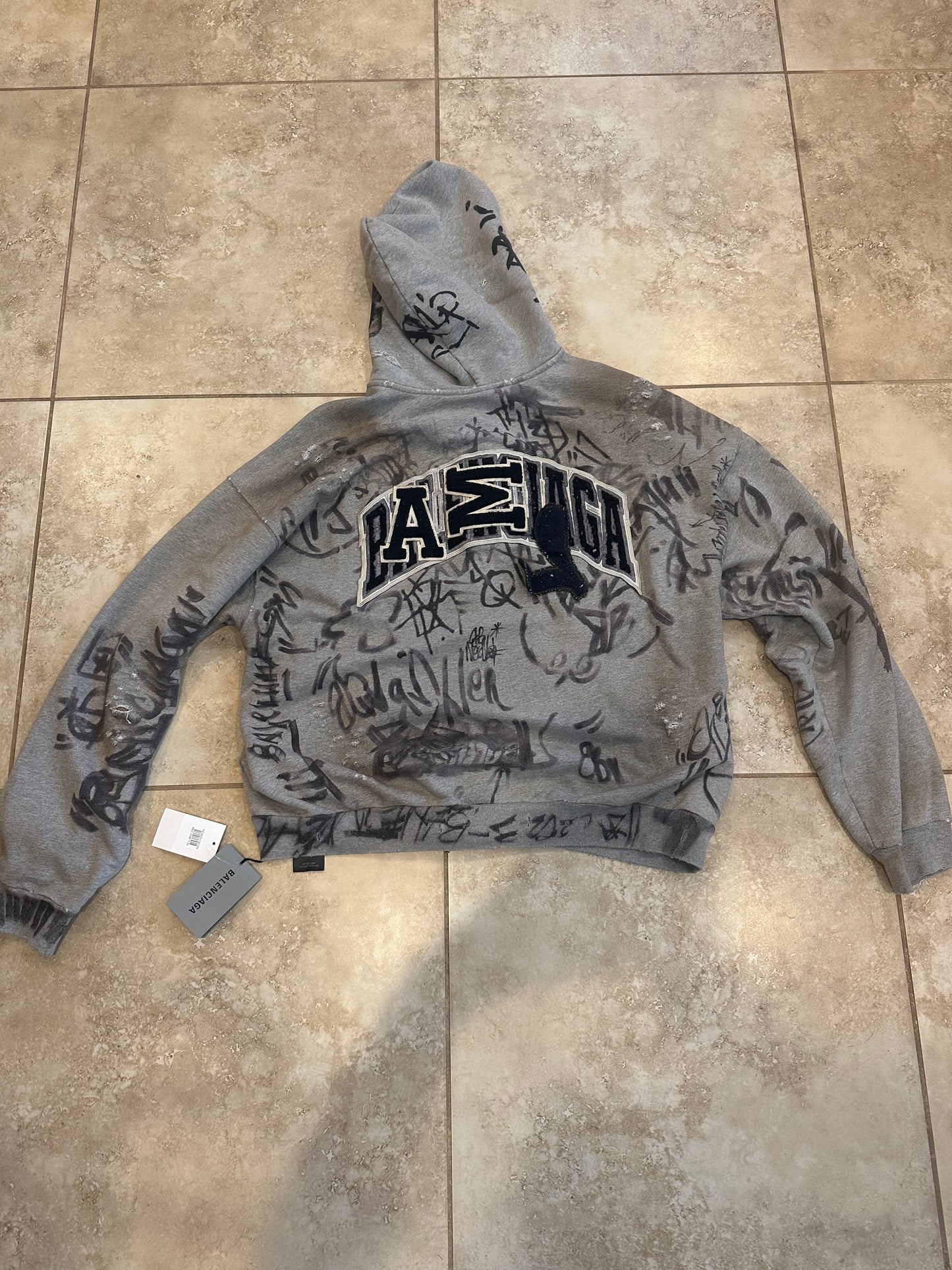 Balenciaga Skater Zip Up hoodie
