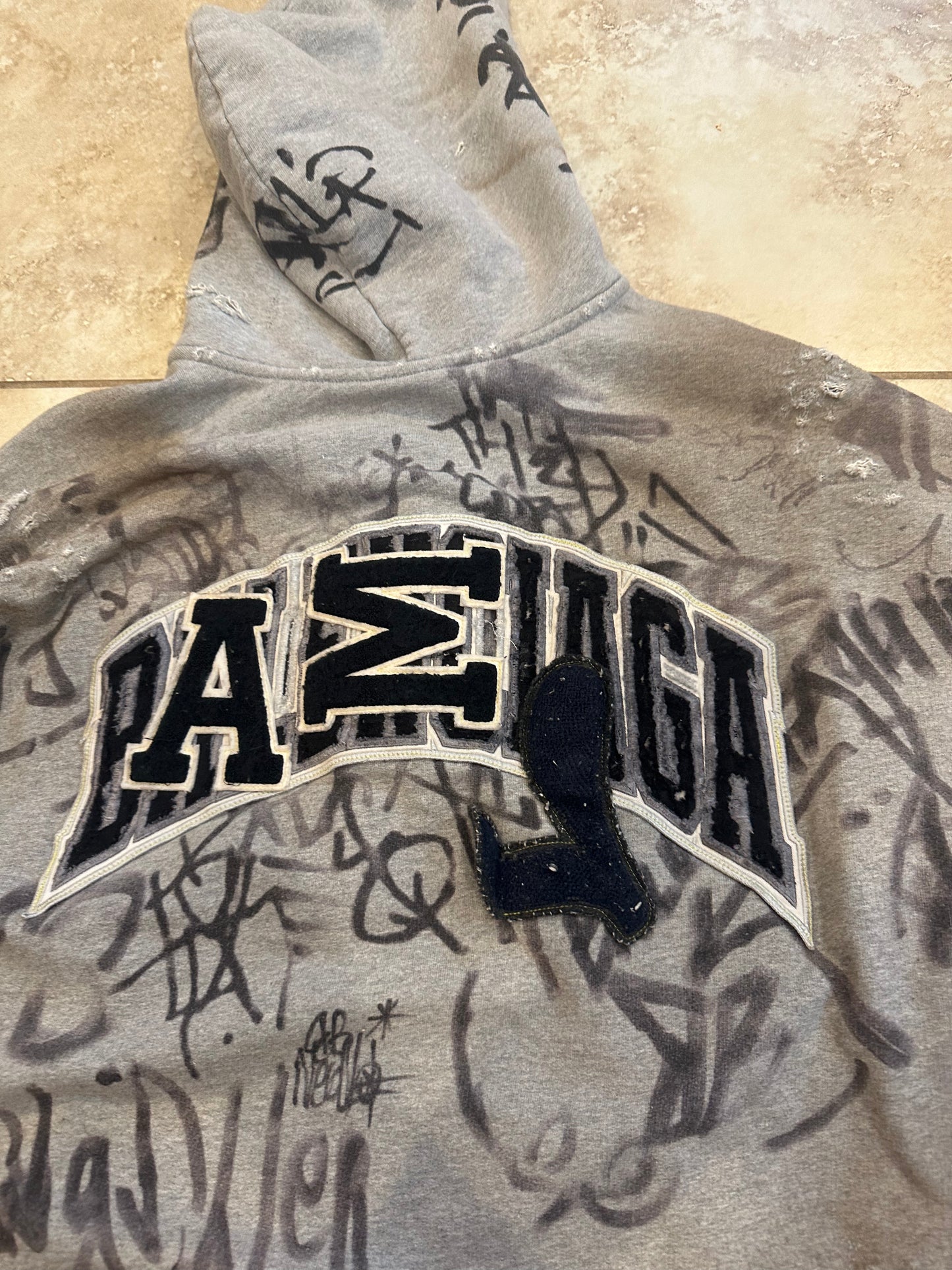 Balenciaga Skater Zip Up hoodie