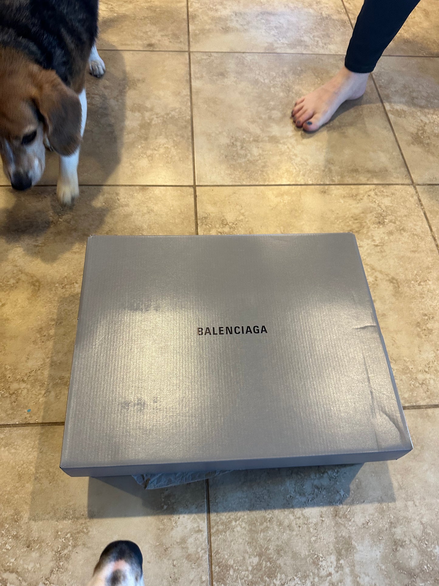 Balenciaga Phantom Shoes