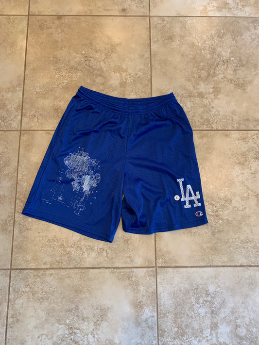 Champion shorts